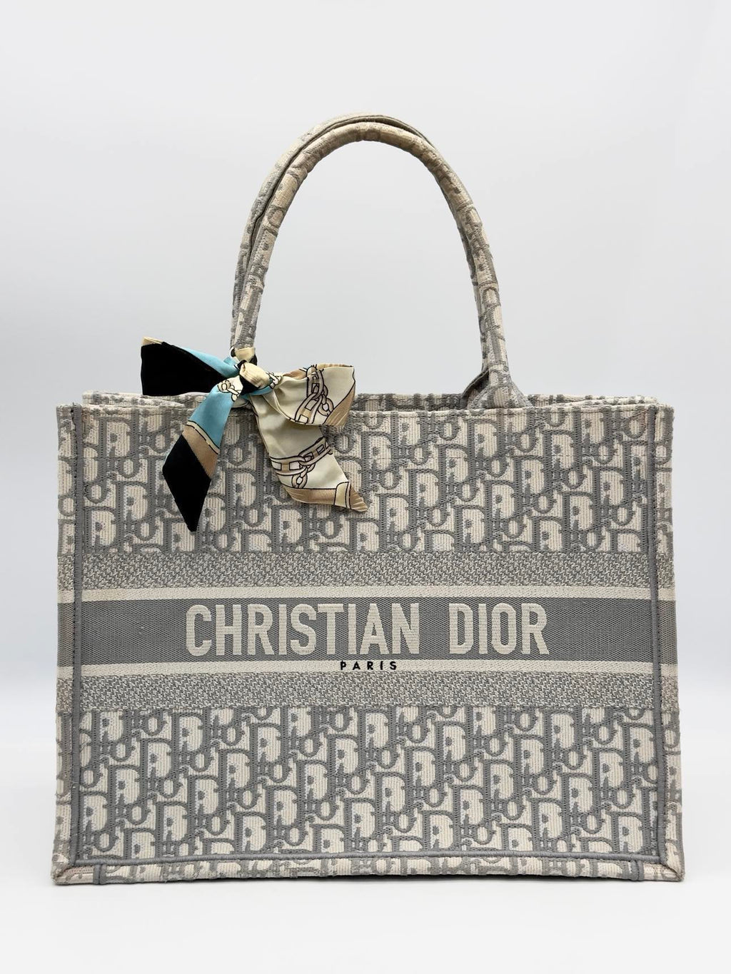 Christian Dior Oblique Canvas Book Tote Bag