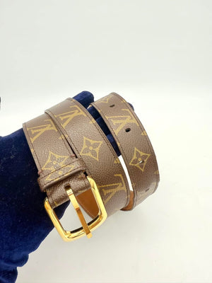 Louis Vuitton Mono Belt